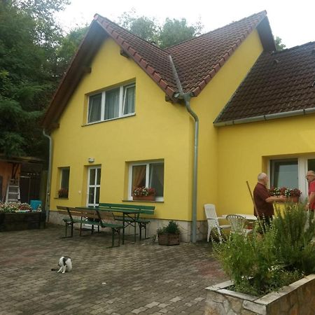 Foki Vendégház Hidegseg Esterno foto