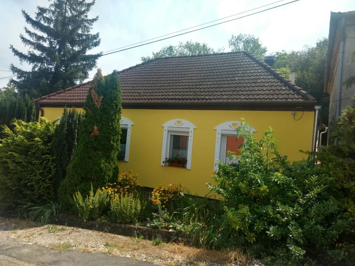 Foki Vendégház Hidegseg Esterno foto